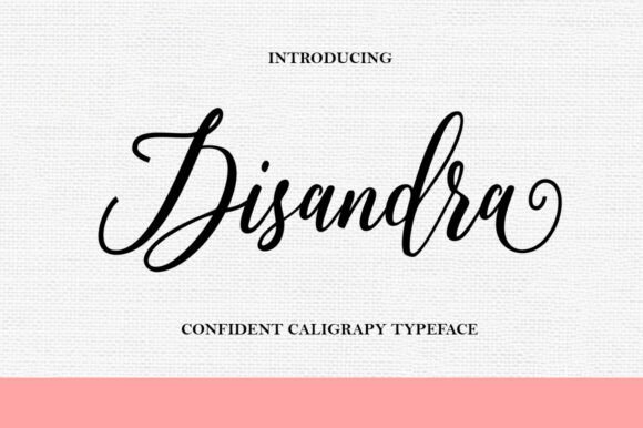 Disandra: The Elegant Script Font for Small Business Branding