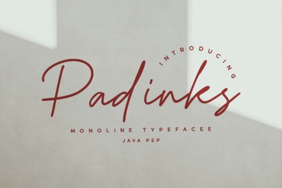 Padinks: The Elegant Monoline Script for Handmade Brands